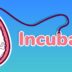 Incubator
