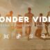 Wonder Video Editor