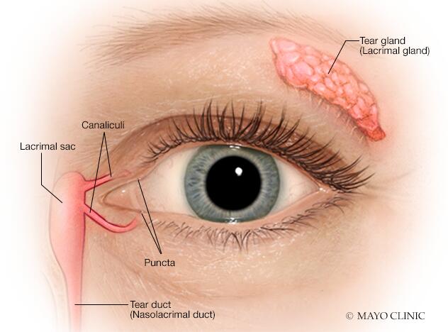 Dry eyes - Symptoms & causes - Mayo Clinic