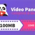 Video Compressor Panda